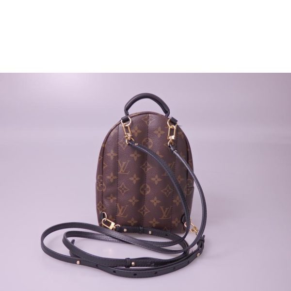 97142 2 Louis Vuitton Palm Springs Mini Backpack Monogram Brown