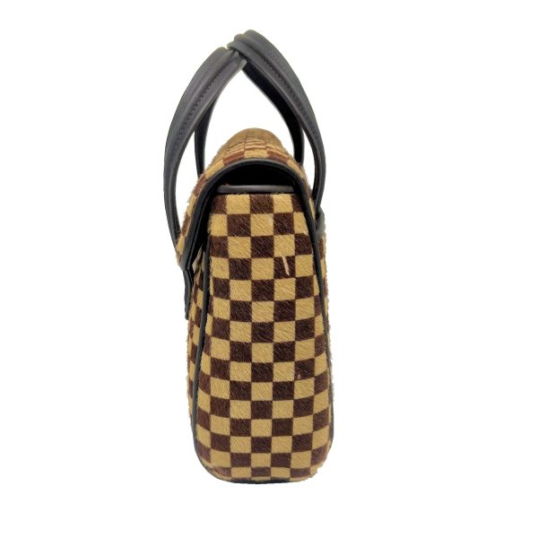 imgrc0089137355 Louis Vuitton Lion Handbag Damier Sauvage Leather Brown