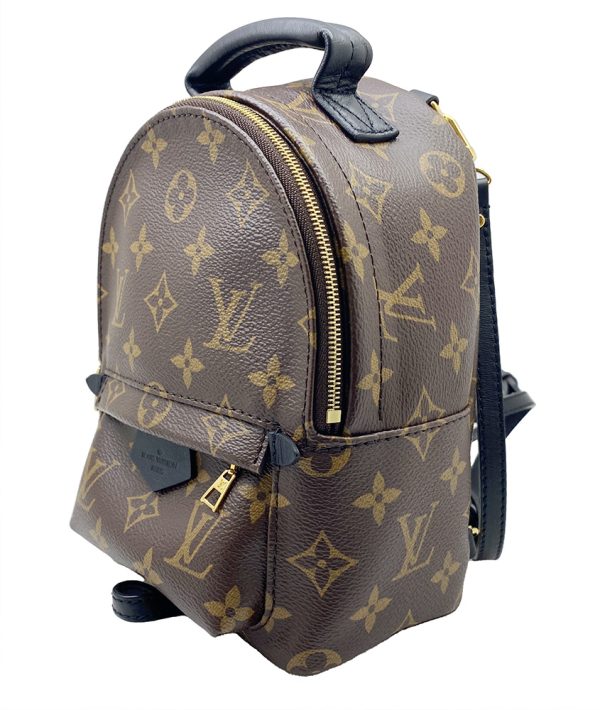 imgrc0095744486 LOUIS VUITTON Palm Springs Mini Backpack Monogram Brown