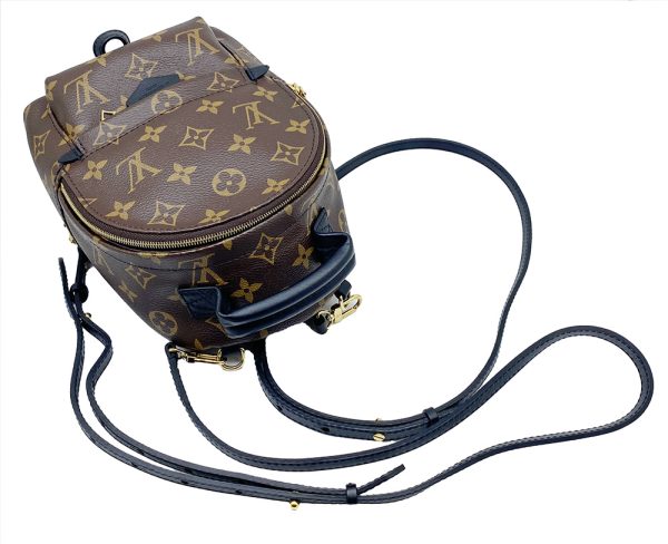 imgrc0095744489 LOUIS VUITTON Palm Springs Mini Backpack Monogram Brown