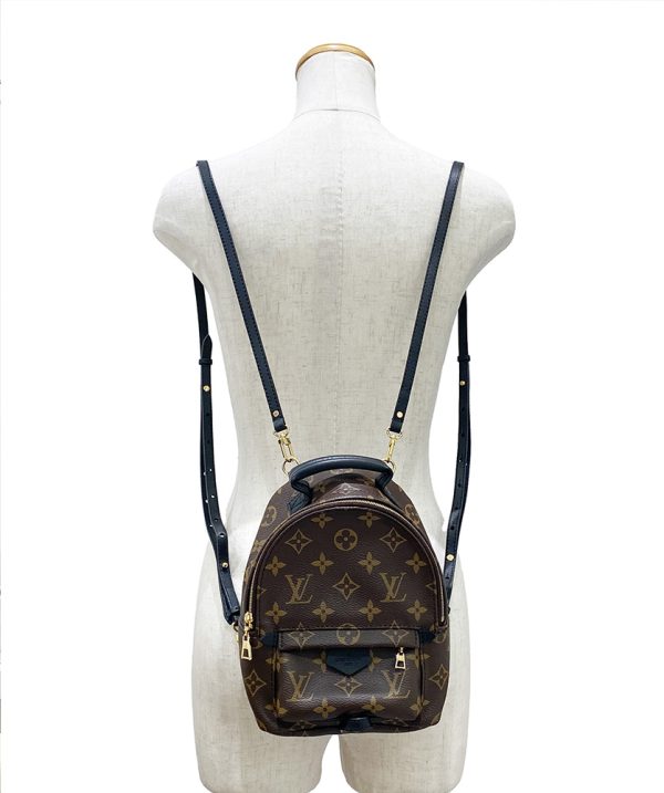 imgrc0095744499 LOUIS VUITTON Palm Springs Mini Backpack Monogram Brown