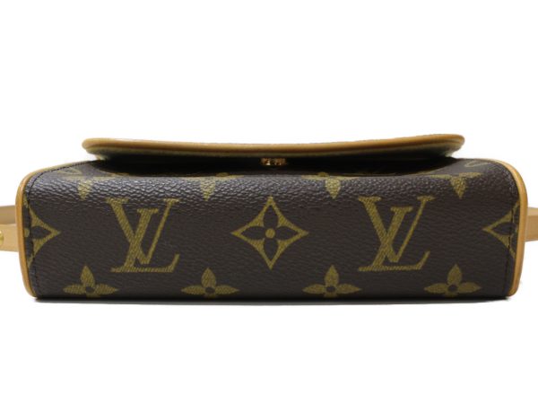 imgrc0095862212 Louis Vuitton Pochette Florentine Waist Bag Brown