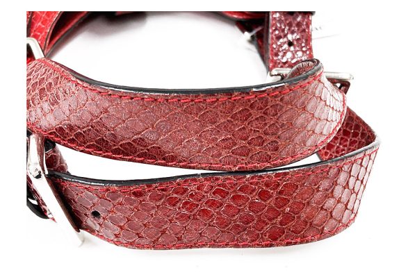 kkb9749 5 Celine Python Pvc Shoulder Bag Red