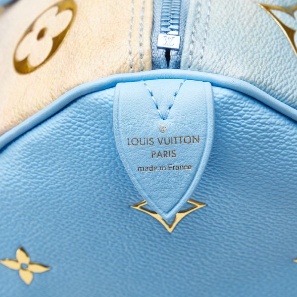 w3nz7s98j4fxcf41 7 Louis Vuitton Masters Speedy 30 M43306 Blue Multicolor