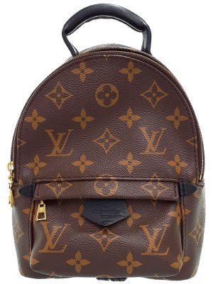 1023278700013 Louis Vuitton Papillon Handbag Brown