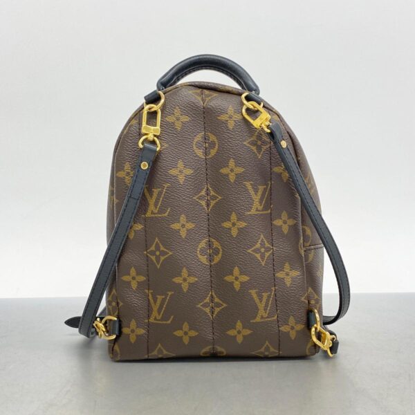 1240001049585 13 Louis Vuitton Monogram Palm Springs Backpack MINI Brown