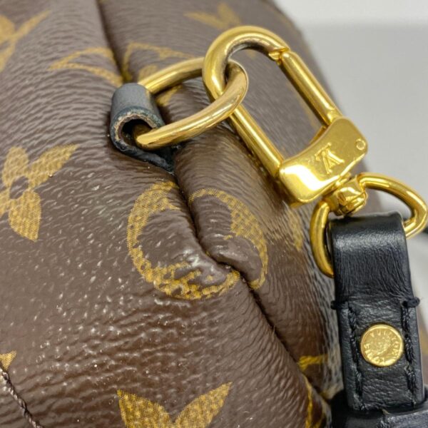 1240001049585 6 Louis Vuitton Monogram Palm Springs Backpack MINI Brown