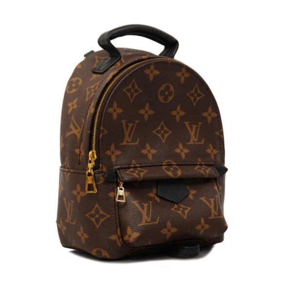 1240001050463 2 Louis Vuitton Monogram Macassar Palm Springs Backpack Brown