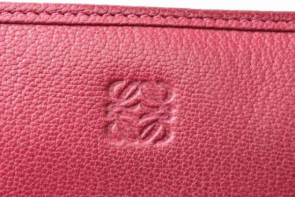 201031 3 lo 4 Loewe Wallet Amazona Goatskin Pink