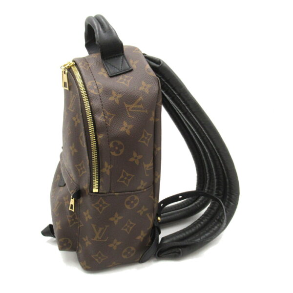 2101218166453 3 Louis Vuitton Palm Springs Backpack PM Monogram Brown