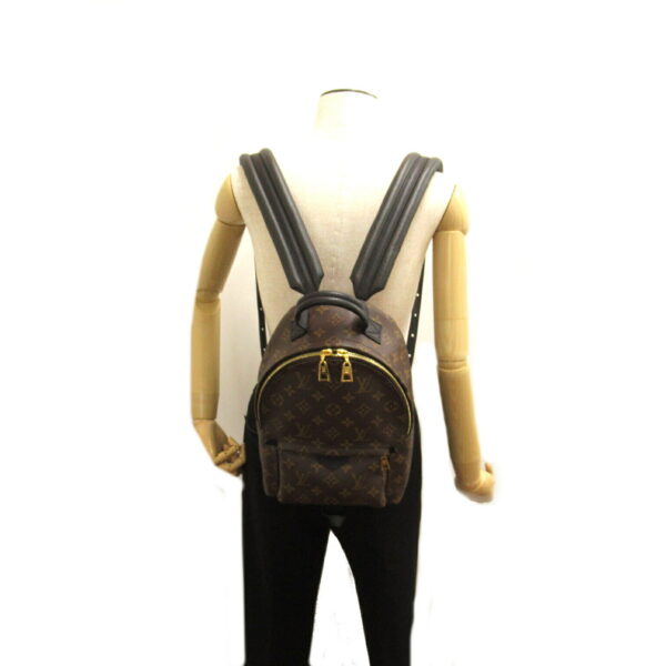 2101218166453 5 Louis Vuitton Palm Springs Backpack PM Monogram Brown