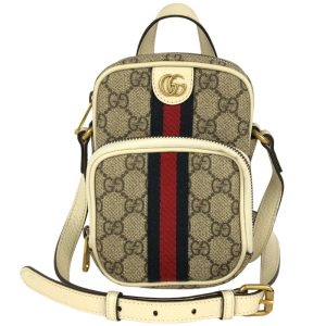 2300037303395 Gucci Accessory Pouch