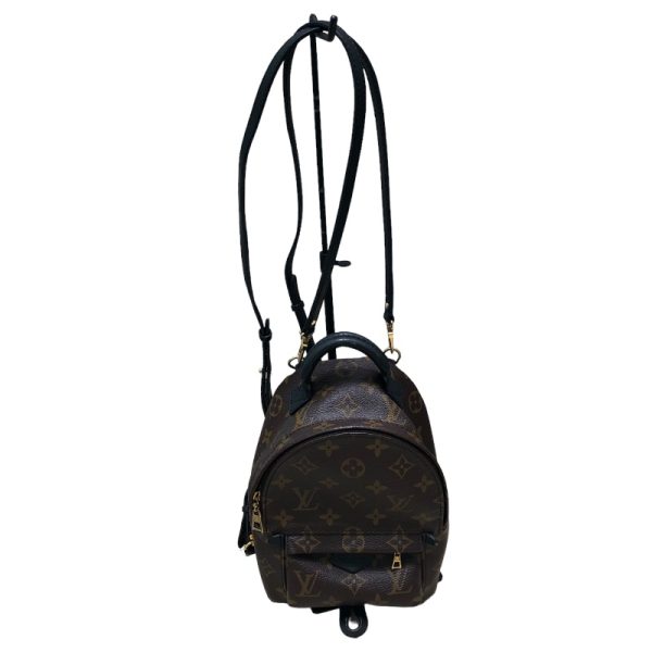 2300039817173 17 LOUIS VUITTON Palm Springs Backpack MINI Rucksack Daypack