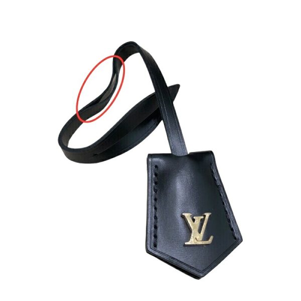 230004001148521 16 LOUIS VUITTON Vanity NV PM shoulder bag