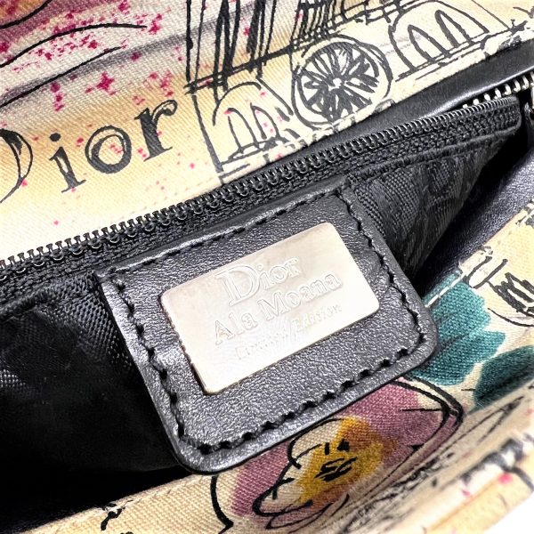 imgrc0087730273 Christian Dior Lady Dior 2WAY Handbag Canvas Leather Multicolor