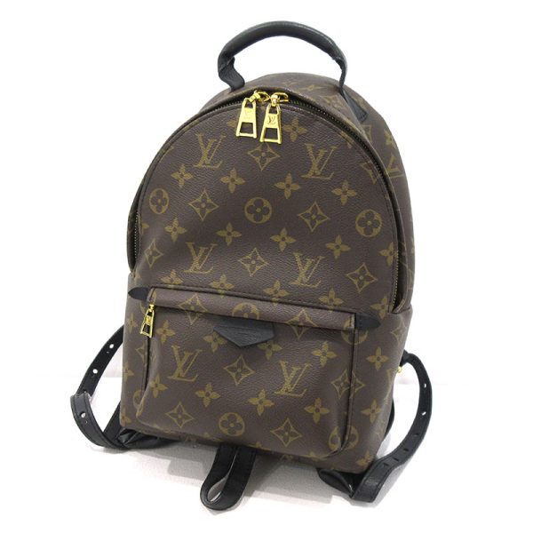 imgrc0090128545 Louis Vuitton Palm Springs PM Rucksack Monogram Brown