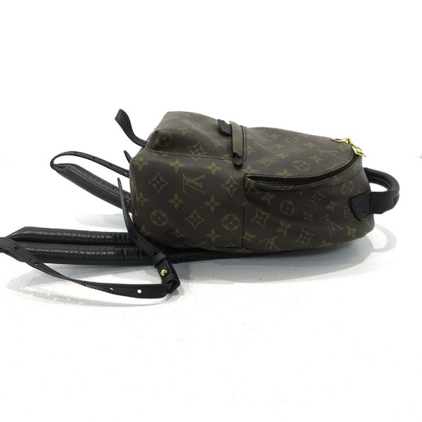 imgrc0090128549 Louis Vuitton Palm Springs PM Rucksack Monogram Brown