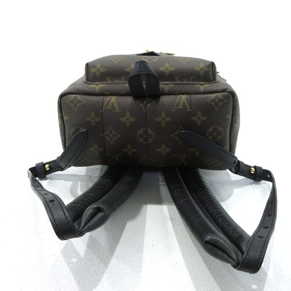 imgrc0090128551 Louis Vuitton Palm Springs PM Rucksack Monogram Brown