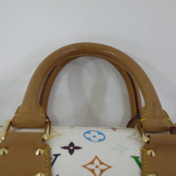 imgrc0096332405 Louis Vuitton Speedy 30 Bag Multicolor