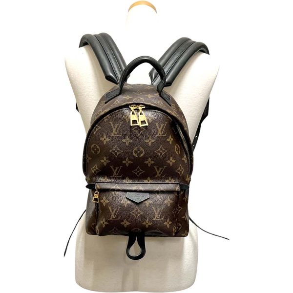 m23 1610 1 18 Louis Vuitton Palm Springs Backpack PM Monogram