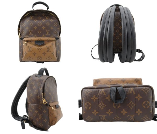 n46276 2 Louis Vuitton Monogram Reverse Palm Springs Backpack PM Brown