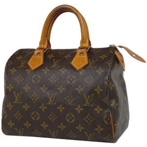 1000059088584 11 Louis Vuitton Epiline Neverfull MM Tote Bag Epi Leather Fig