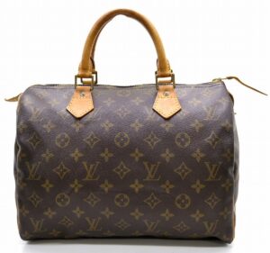 11521016 Louis Vuitton Mini Speedy Bag Monogram