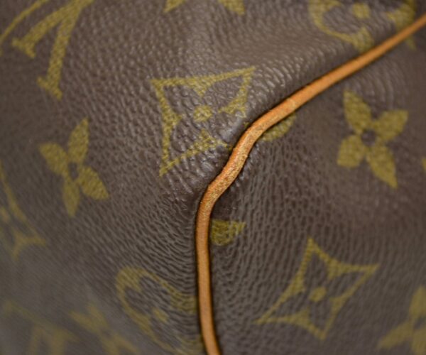 11541346 2 Louis Vuitton Speedy 25 Handbag Monogram Brown