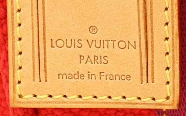 11620558 7 Louis Vuitton Hippo PM Tote Bag Antigua Red