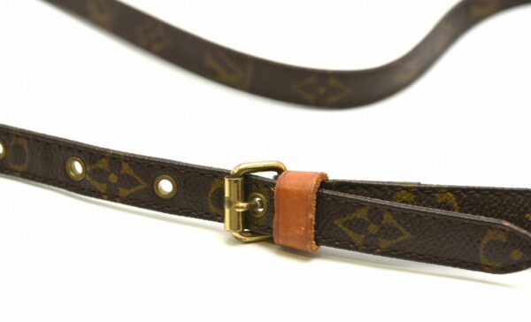 11651271 3 Louis Vuitton Danube Shoulder Bag Monogram Brown