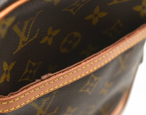 11651581 7 Louis Vuitton Danube Shoulder Bag Monogram Brown