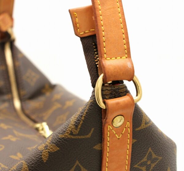 11660009 6 Louis Vuitton Amfar Vanity Shoulder Bag Monogram Brown