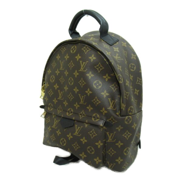 2101217701860 4 Louis Vuitton Palm Springs Backpack MM Brown