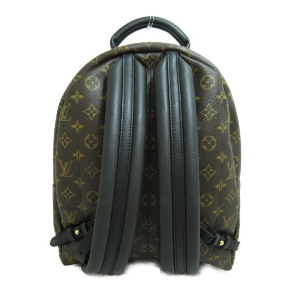 2101217701860 5 Louis Vuitton Palm Springs Backpack MM Brown