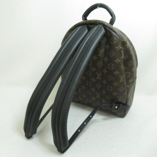 2101217701860 6 Louis Vuitton Palm Springs Backpack MM Brown