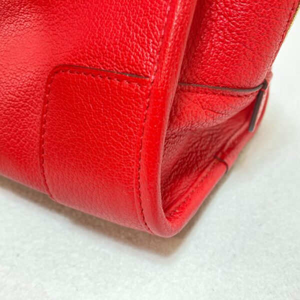 2101217713559 5 Loewe Amazona 28 Goatskin Leather Handbag Red