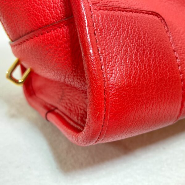 2101217713559 6 Loewe Amazona 28 Goatskin Leather Handbag Red