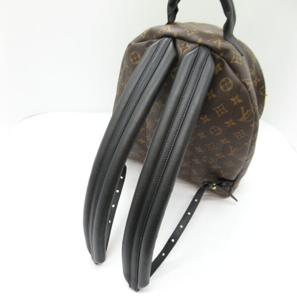 2101218057270 9 Louis Vuitton Palm Springs Backpack MM Monogram Brown