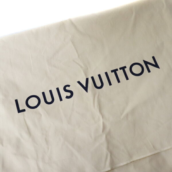 23 3821 13 Louis Vuitton Saint Jacques Tote Bag