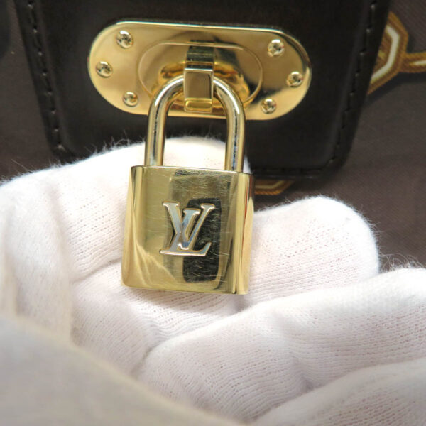 24 475806 Louis Vuitton Cover Bag