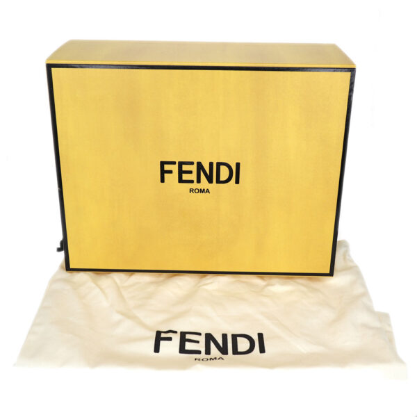 24 4978 19 Fendi Visible Bag