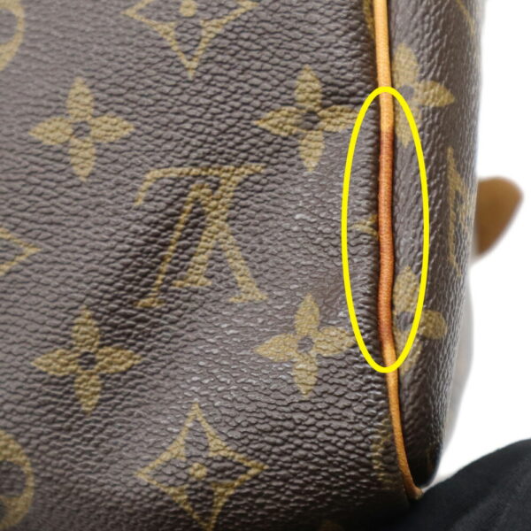 244206 6 Louis Vuitton Speedy 30 Monogram Handbag