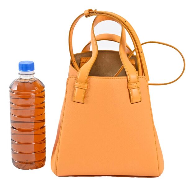 3000045024 2 LOEWE Handbag Leather Orange