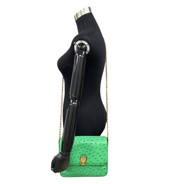 488l242963431 3 Celine Star Ball Ostrich Leather Shoulder Bag Pochette Green