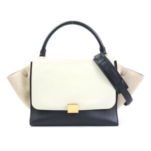 55463g Celine Triomphe Canvas Cylinder Bag Black