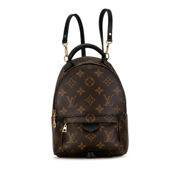 927oywso0ius6tzm 1 Louis Vuitton Monogram Palm Springs Mini Backpack Brown