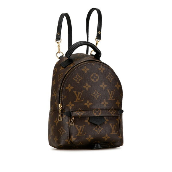 927oywso0ius6tzm 2 Louis Vuitton Monogram Palm Springs Mini Backpack Brown