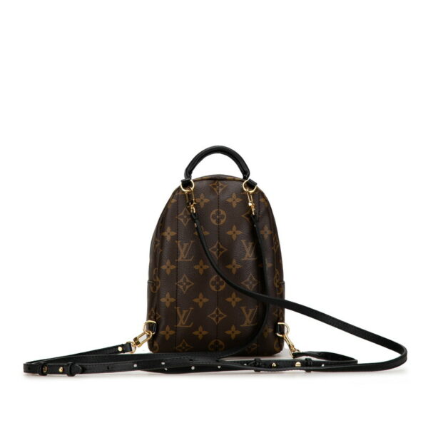 927oywso0ius6tzm 3 Louis Vuitton Monogram Palm Springs Mini Backpack Brown