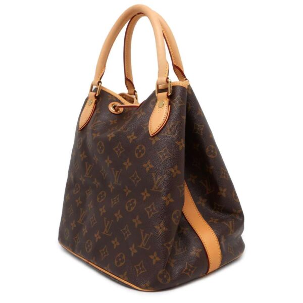 9502123 02 Louis Vuitton Neo Monogram Handbag