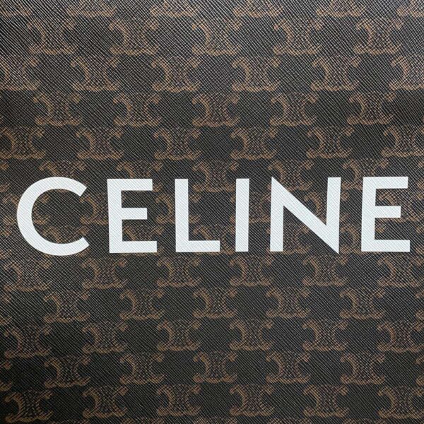 9602090 14 Celine Vertical Hippo Small Leather 2way Shoulder Bag